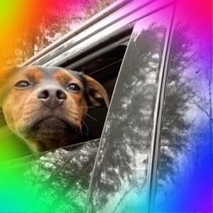 Meet your Posher, Peggy